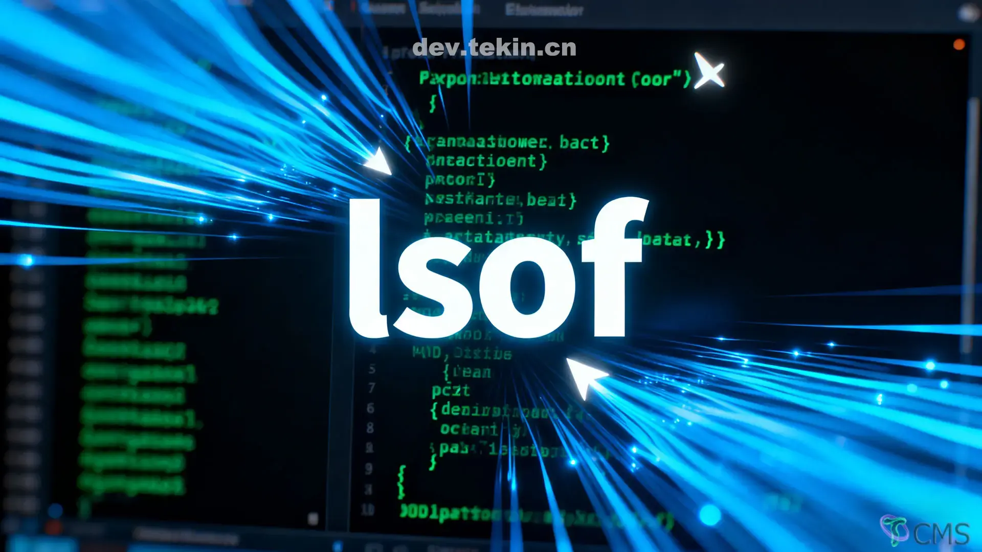 lsof-command-parameter-and-process-management-guide
